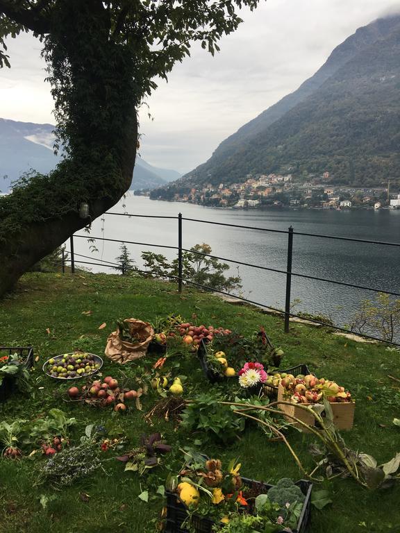 Casa Vacanza Castagna Нессо Экстерьер фото